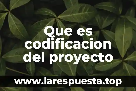 Que es codificacion del proyecto