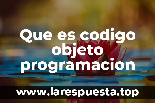 Que es maind en programacion 5 Que es codigo objeto programacion