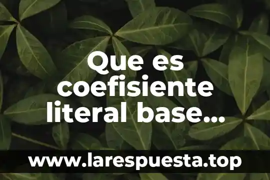 Que es multidimensionalidad base de datos 6 Que es coefisiente literal base exponente