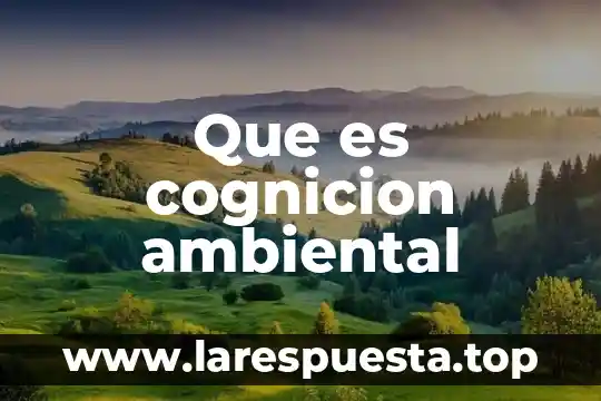 Lan ambiental que es 5 Que es cognicion ambiental