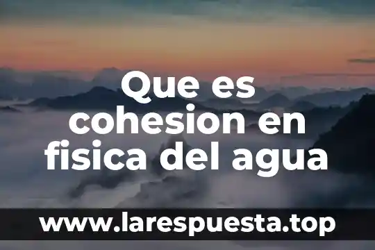 Que es cohesion en fisica del agua