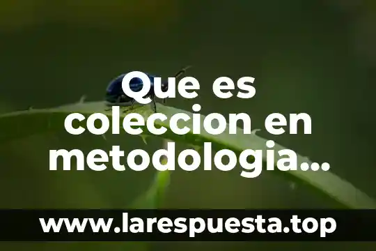Que es coleccion en metodologia de la investigacion