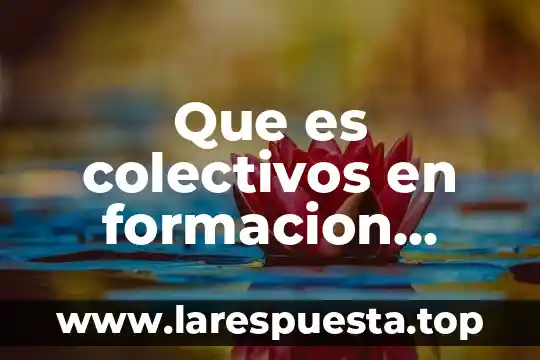 Que es una queja en formacion civica y etica secundaria 7 Que es colectivos en formacion civica y etica