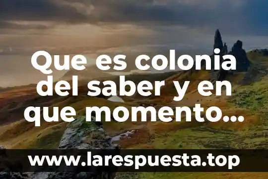 Que es colonia del saber y en que momento surge