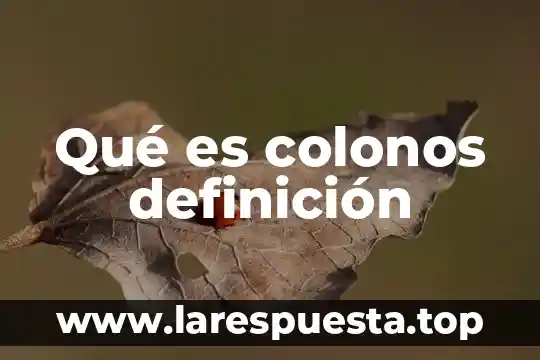Que es una constante c++ 8 Qué es colonos definición