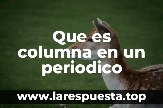 Que es la columna en el periodico 3 Que es columna en un periodico