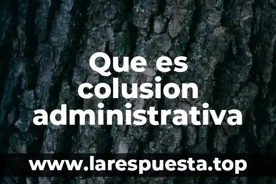 Que es el alcance en una auditoria administrativa 6 Que es colusion administrativa