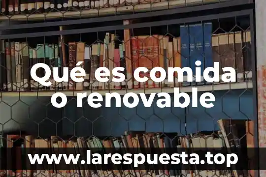 Que es la gestion empresarial para energía renovable 8 Qué es comida o renovable