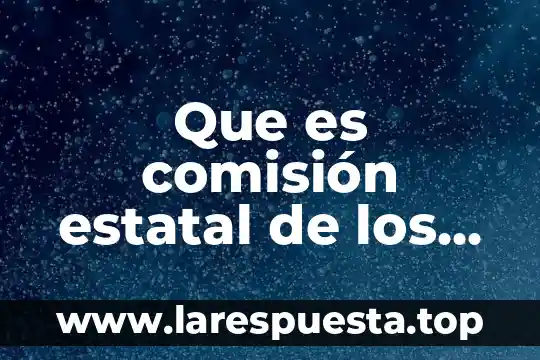 Que es comisión estatal de los derechos humanos