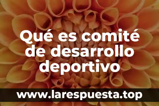 Que es un programa deportivo de television 8 Qué es comité de desarrollo deportivo