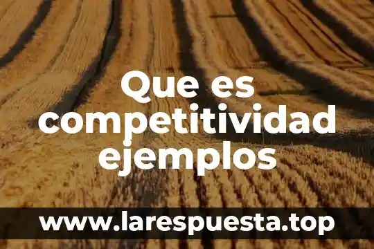 Que es competitividad ejemplos