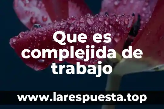 Que es minuta en trabajo social 7 Que es complejida de trabajo