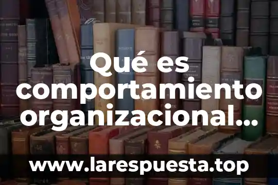 Qué es fórmula en Excel concepto 6 Qué es comportamiento organizacional para Stoner