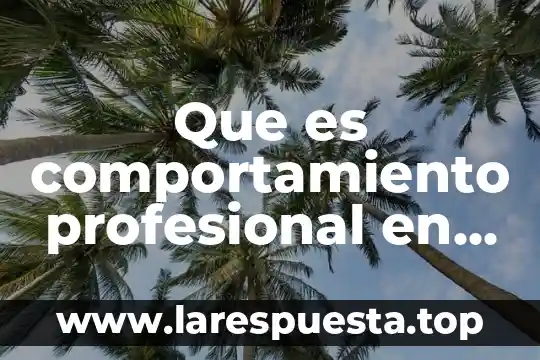 Que es comportamiento profesional en contabilidad