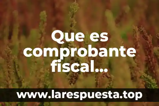 Que es un comprobante de seguro social 7 Que es comprobante fiscal electronico