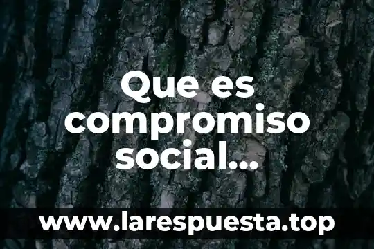 Que es compromiso social educativo