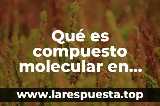 Qué es compuesto molecular en química