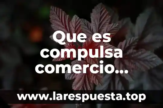 Que es marketing y comercio internacional 6 Que es compulsa comercio exterio