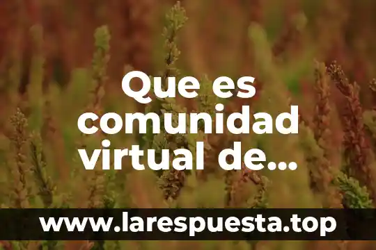 Que es una carta n5 4 Que es comunidad virtual de profesional