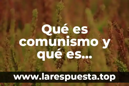 Que es el clasismo fascismo y comunismo 8 Qué es comunismo y qué es socialismo