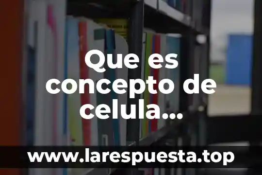 Qué es el núcleo de la célula eucariota y procariota 3 Que es concepto de celula eucariota