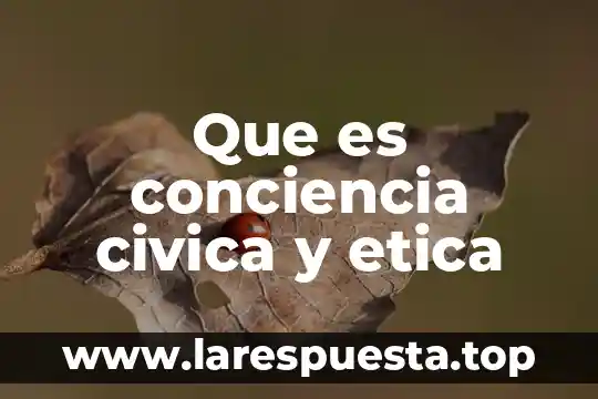 Que es conciencia civica y etica