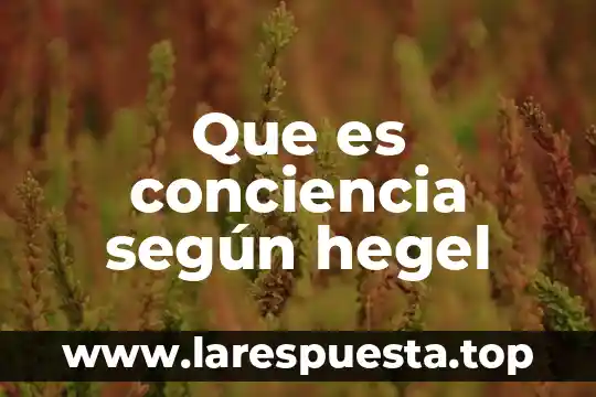Que es conciencia según hegel