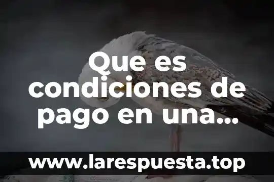 Que es el valor neto de una factura formula 8 Que es condiciones de pago en una factura