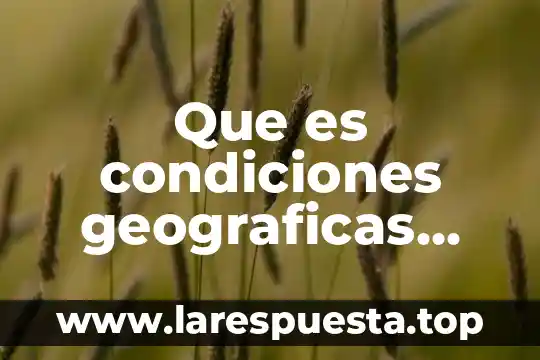 Lan ambiental que es 6 Que es condiciones geograficas ambiental
