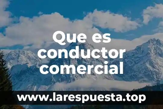 Que es software comercial y tipos 3 Que es conductor comercial