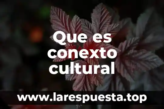 Que es conexto cultural