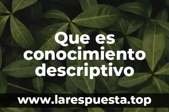 Que es conocimiento descriptivo