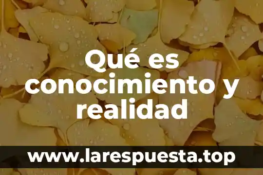 Qué es conocimiento y realidad