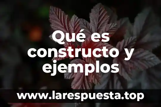 Qué es un constructo y tipos de constructo 5 Qué es constructo y ejemplos