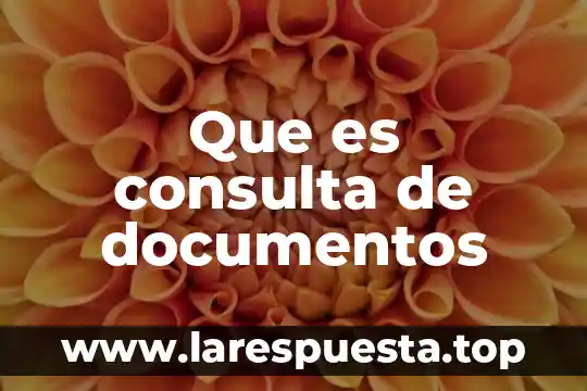 Que es documentos compartidos 6 Que es consulta de documentos