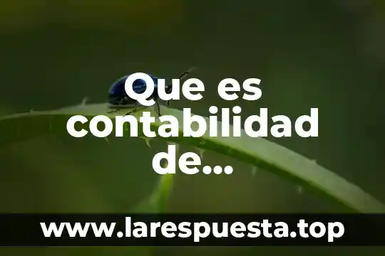 Que es pago de contribuciones y cuotas sin interes 5 Que es contabilidad de contribuciones