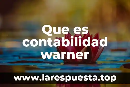 Que es una tarja en contabilidad 4 Que es contabilidad warner
