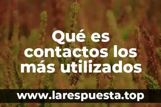 Que es gestion de contactos 5 Qué es contactos los más utilizados
