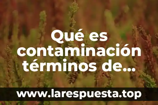 Qué es contaminación términos de salud