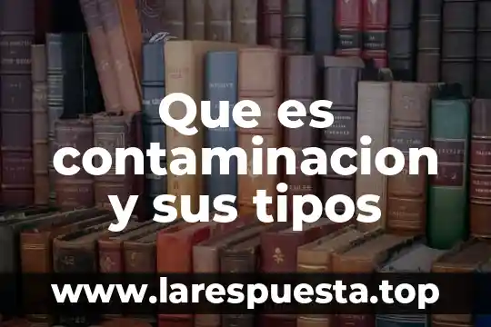 Que es contaminacion y sus tipos