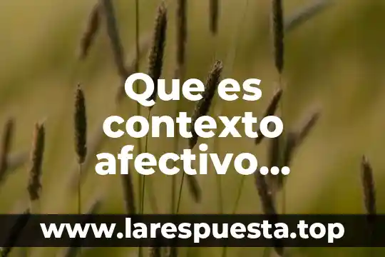 Que es contexto afectivo significado