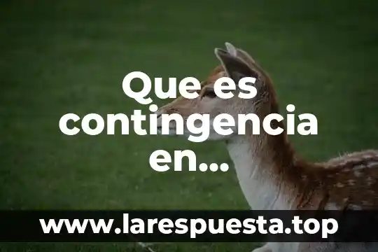 Que es una tabla de contingencia 5 Que es contingencia en administracion