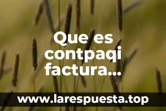 Que es el valor neto de una factura formula 5 Que es contpaqi factura electronica
