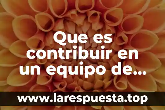 Que es contribuir en un equipo de trabajo