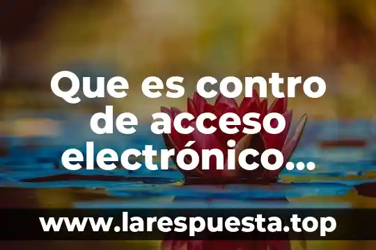 Que es contro de acceso electrónico total