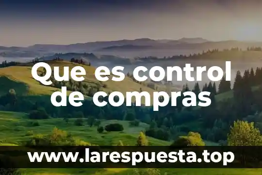 Que es un control compensatorio 7 Que es control de compras