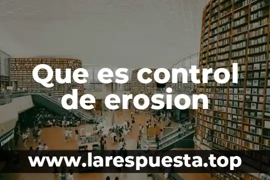Que es auxiliar de control vehicular 3 Que es control de erosion