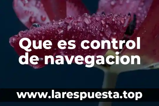 Que es un control compensatorio 6 Que es control de navegacion