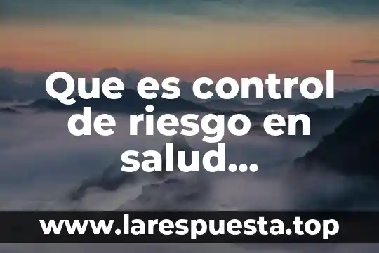 Que es un punto de riesgo 5 Que es control de riesgo en salud ocupacional