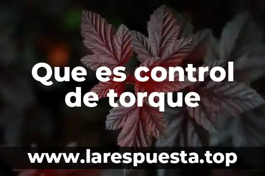 Que es un control compensatorio 4 Que es control de torque